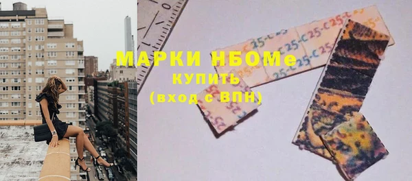 индика Богородск