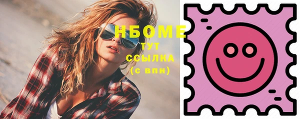 индика Богородск