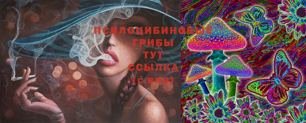 дмт Богородицк