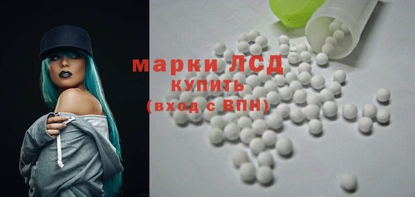 индика Богородск