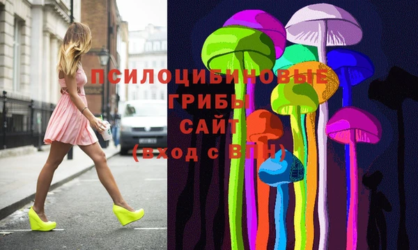 индика Богородск