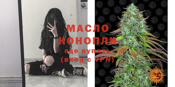 дмт Богородицк