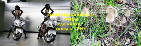 индика Богородск