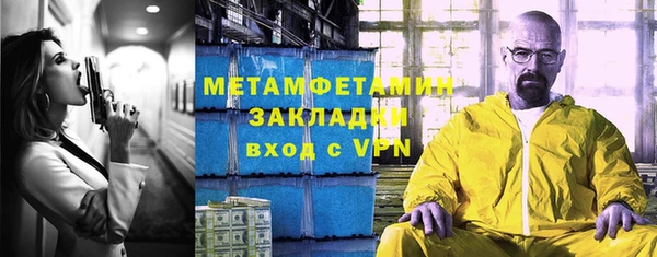 индика Богородск