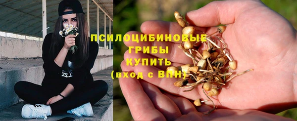 дмт Богородицк