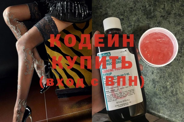 индика Богородск