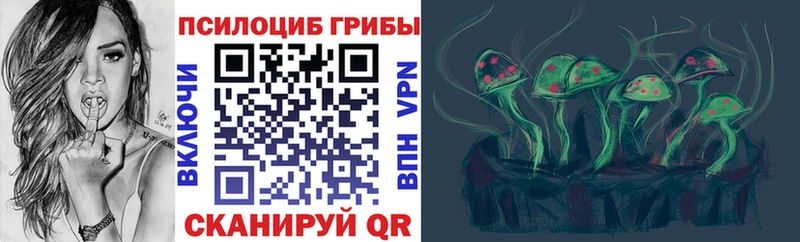 мега ТОР  Невельск  Галлюциногенные грибы Psilocybe 